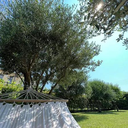 Daire Olive Summer Vromerí